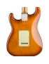 Fender® American Performer Stratocaster® RW HBST