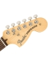 Fender® American Performer Stratocaster® RW HBST