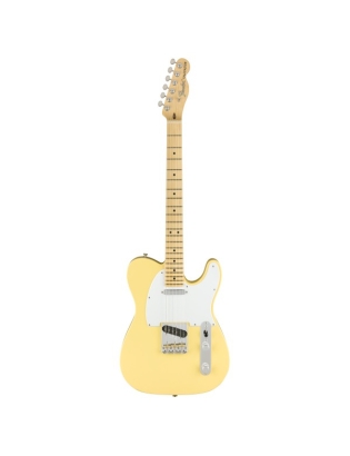 Fender® American Performer...