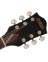 Gretsch G2604T Limited Streamliner™ Rally II CB IL BYCM