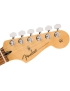 Fender® Player Stratocaster® PF Anniversary 2TS