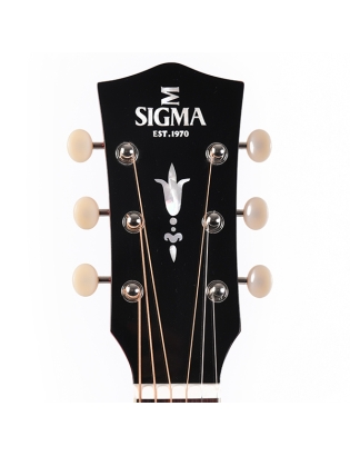 Sigma SDM-SG6