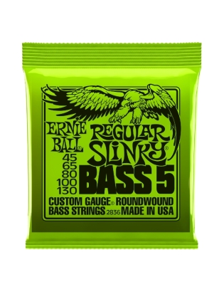 Ernie Ball 2836 Regular Slinky Bass 5